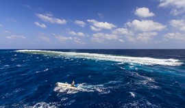 Elphinstone … “cigar-shaped” reef in the Red Sea  Photo